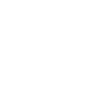 Sapient Wealth Managment
