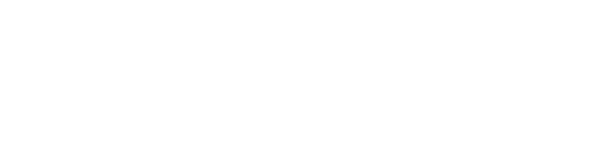 Eleven17 Consulting